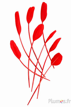 Panicule zwaan zijde - 25-30 cm - rood